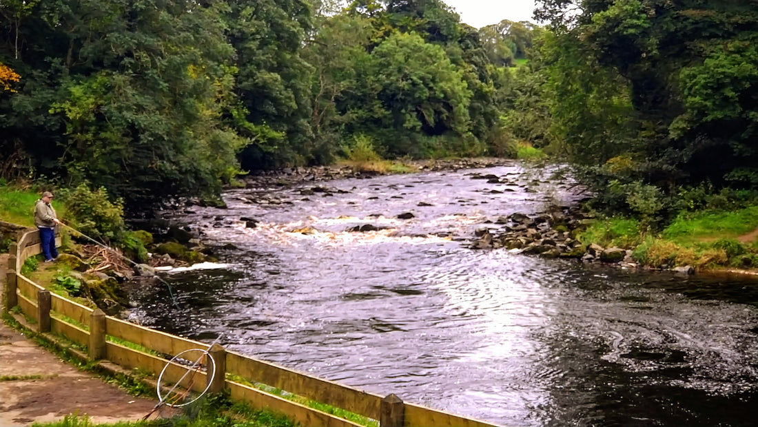 Atlantic Salmon Fishing in Northern Ireland - North Atlantic Fishing Northern Ireland | Tagged 