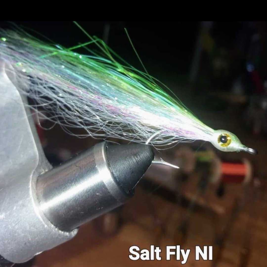 Bait Fish #2 - www.nafni.com