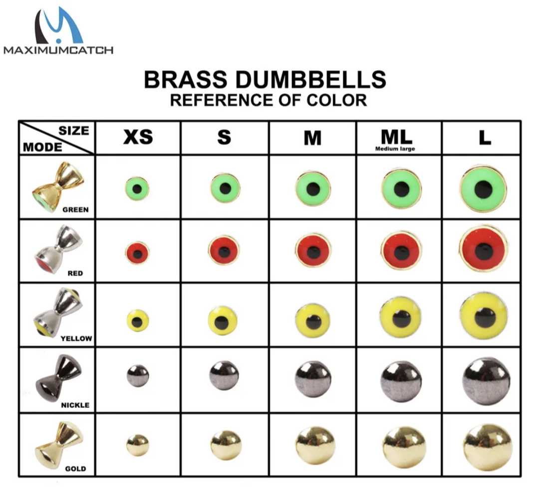 Brass Dumbells for Fly Tying with Beady Predator Luring Eyes - %www.nafni.com%