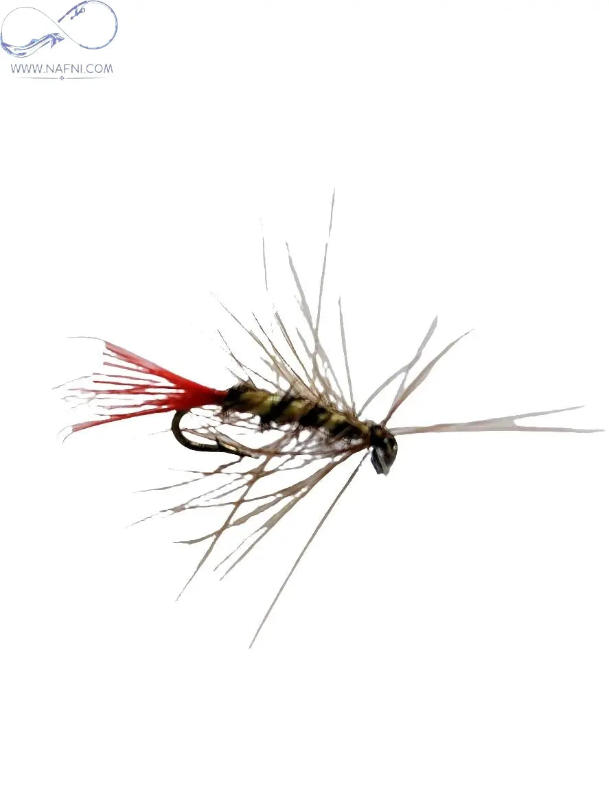 Eco Trout Fly Nymph and Bug Collection  northatlanticfishing.com