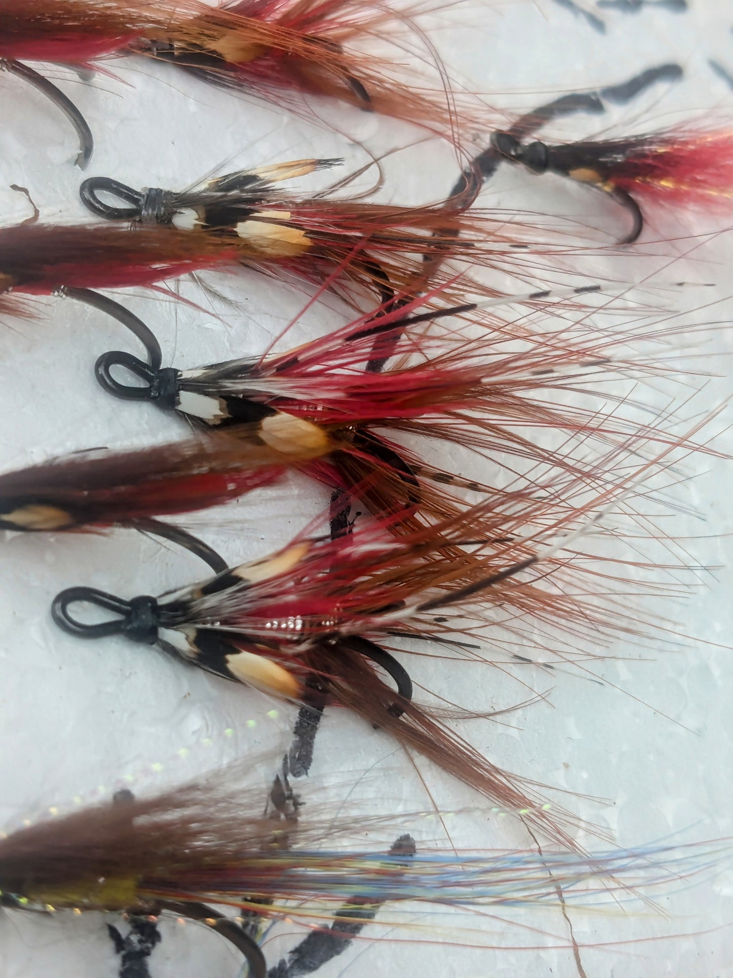 Wild Salmon Fly Box Combo - www.nafni.com