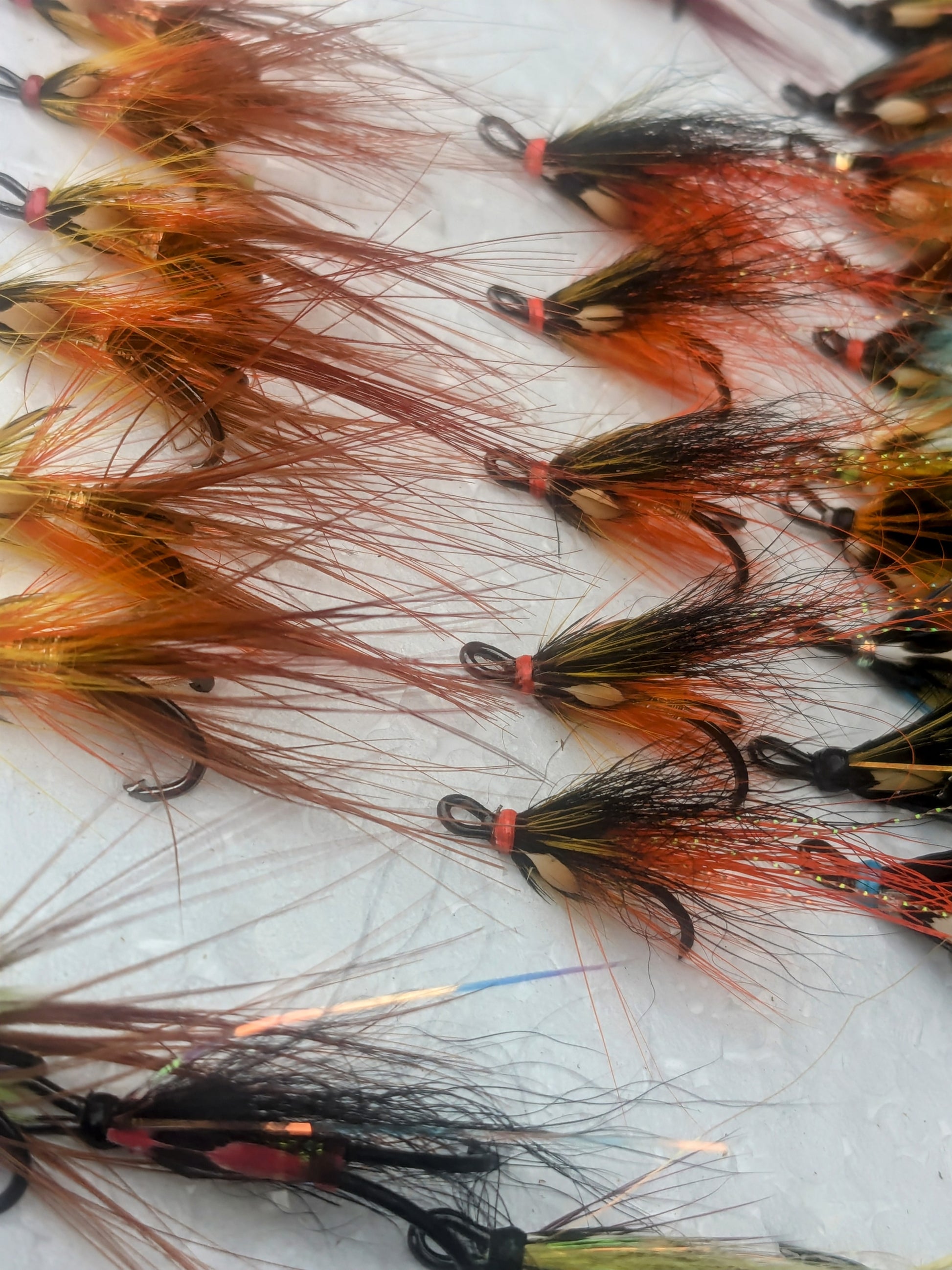 Wild Salmon Fly Box Combo - www.nafni.com