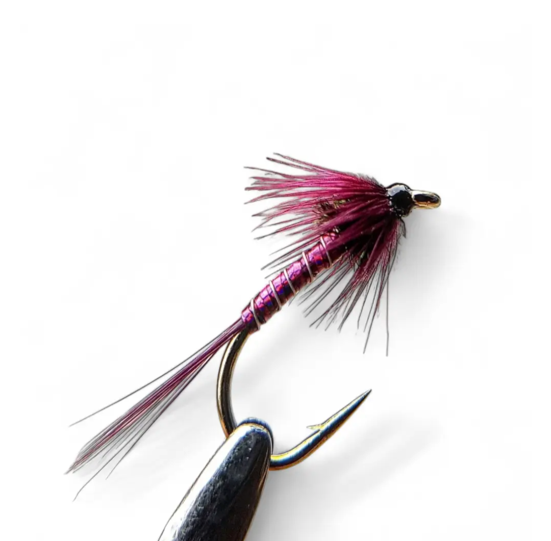 Claret Cruncher - #10 - www.nafni.com