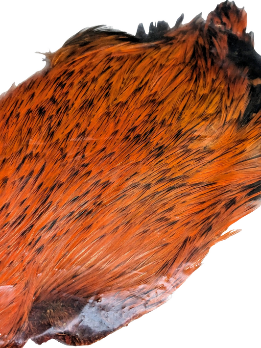 Hot Orange Cape Fly Tying Material - www.nafni.com