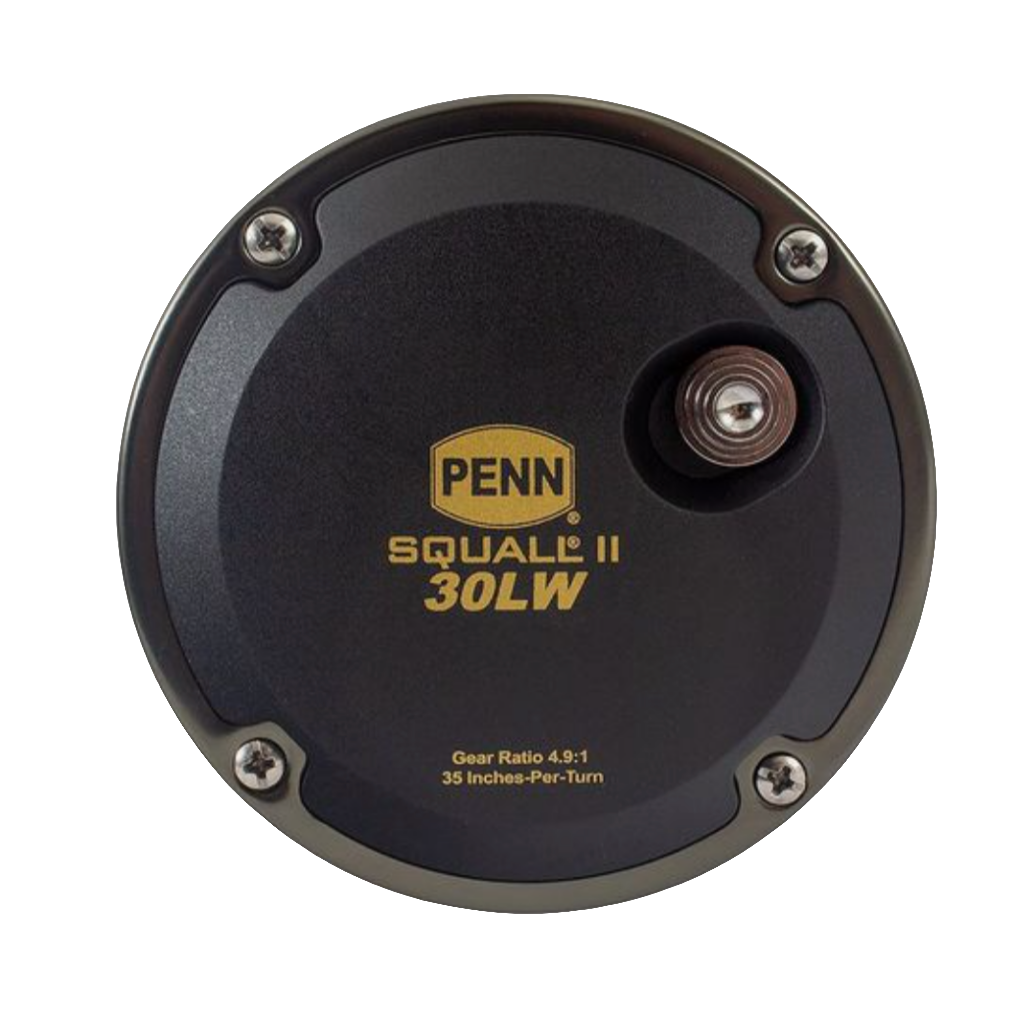 Penn Squall II Multiplier Reel - www.nafni.com